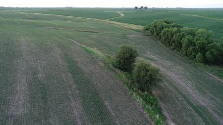 Tama County Iowa Farmland Auction - image 15