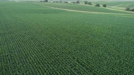 Tama County Iowa Farmland Auction - image 13