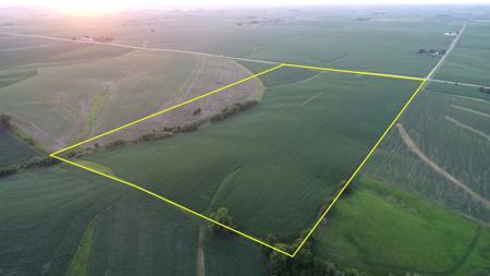 Tama County Iowa Farmland Auction - image 1