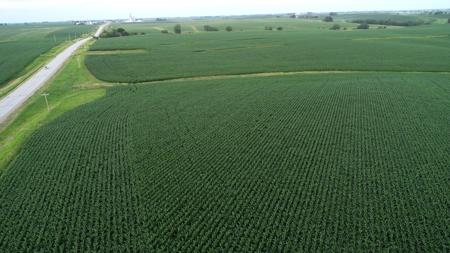 Tama County Iowa Farmland Auction - image 22