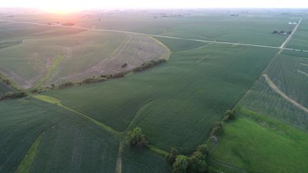 Tama County Iowa Farmland Auction - image 4