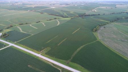 Tama County Iowa Farmland Auction - image 2