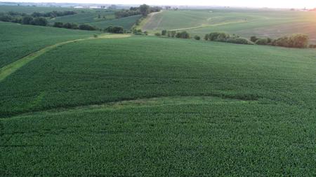 Tama County Iowa Farmland Auction - image 11