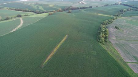 Tama County Iowa Farmland Auction - image 7