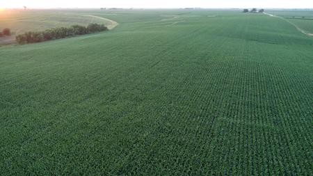 Tama County Iowa Farmland Auction - image 10