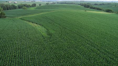 Tama County Iowa Farmland Auction - image 12