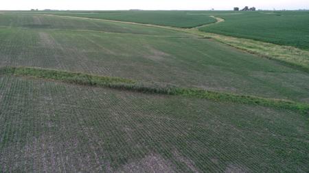 Tama County Iowa Farmland Auction - image 16