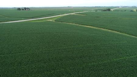 Tama County Iowa Farmland Auction - image 20