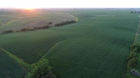 Tama County Iowa Farmland Auction - image 9