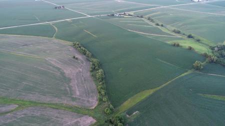 Tama County Iowa Farmland Auction - image 3