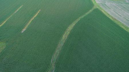 Tama County Iowa Farmland Auction - image 6