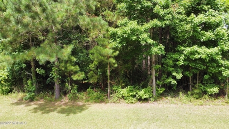 Waterfront Lot for Sale Beaufort NC - image 16