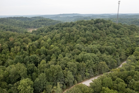 Land for Sale in Maury County Tennessee - image 2