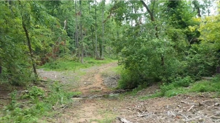 Land for Sale in Maury County Tennessee - image 10
