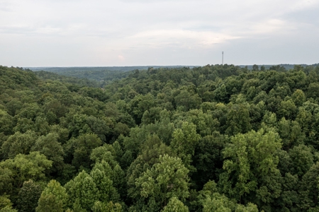 Land for Sale in Maury County Tennessee - image 5