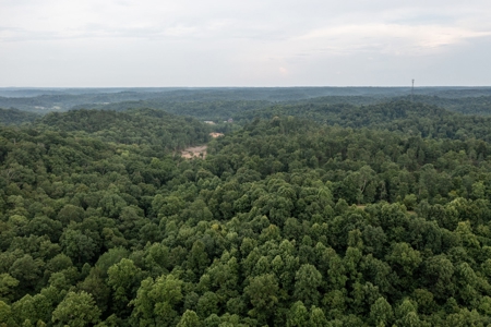 Land for Sale in Maury County Tennessee - image 4