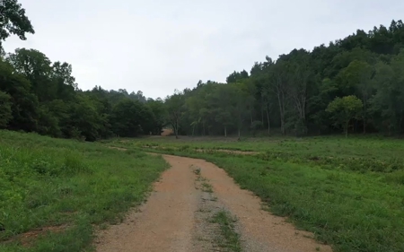 Land for Sale in Maury County Tennessee - image 7