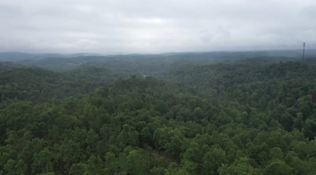 Land for Sale in Maury County Tennessee - image 12