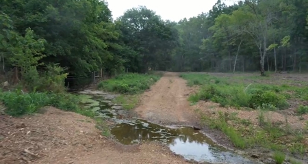 Land for Sale in Maury County Tennessee - image 8