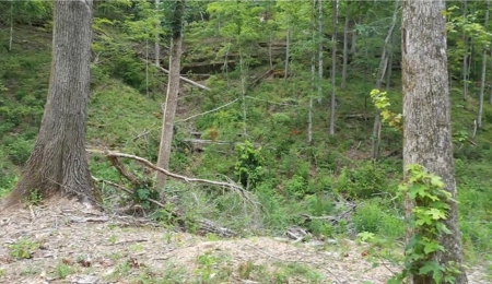 Land for Sale in Maury County Tennessee - image 11
