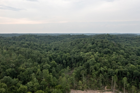 Land for Sale in Maury County Tennessee - image 3