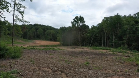 Land for Sale in Maury County Tennessee - image 13