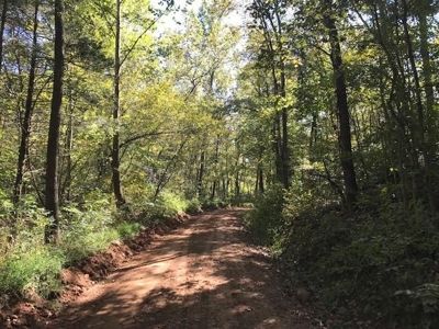 Newton County, Alpena Arkansas Acreage/Land For Sale - image 1