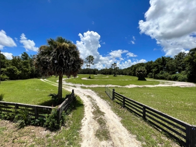 Rare Find! Old Town Florida! - image 33