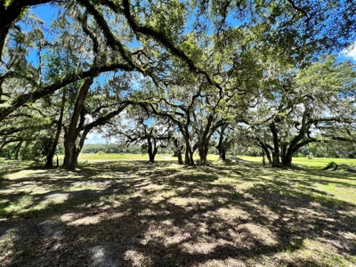 Rare Find! Old Town Florida! - image 26