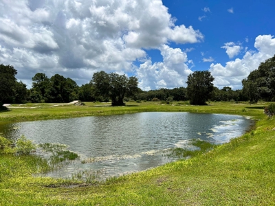 Rare Find! Old Town Florida! - image 24