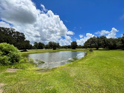Rare Find! Old Town Florida! - image 23
