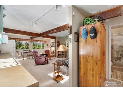 Northern Colorado Mountain Cabin for Sale, Crystal Lakes - image 3