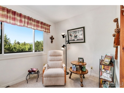 Northern Colorado Mountain Cabin for Sale, Crystal Lakes - image 9