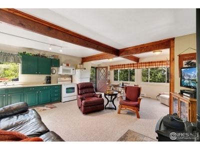 Northern Colorado Mountain Cabin for Sale, Crystal Lakes - image 5