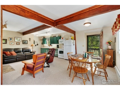 Northern Colorado Mountain Cabin for Sale, Crystal Lakes - image 10