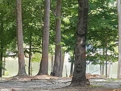 Waterfront Community Lot With Views On Kerr Lake, VA - image 1