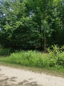 Waterfront Community Lot With Views On Kerr Lake, VA - image 2