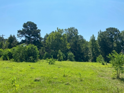 Land for sale near Caddo Lake - image 10