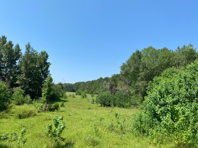 Land for sale near Caddo Lake - image 4