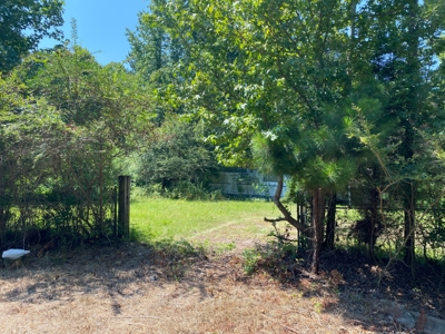 Land for sale near Caddo Lake - image 2