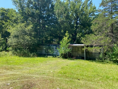 Land for sale near Caddo Lake - image 5