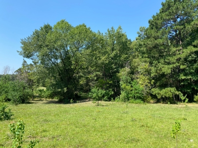 Land for sale near Caddo Lake - image 3