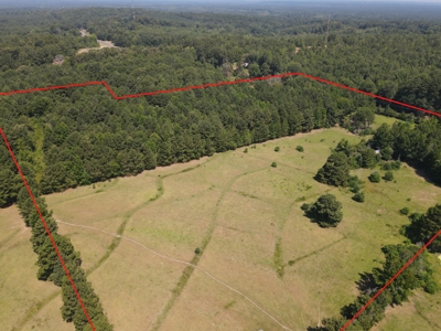 Land for sale near Caddo Lake - image 7