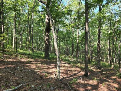 Kiamichi Mountain Recreational Property - Adjoining National - image 7