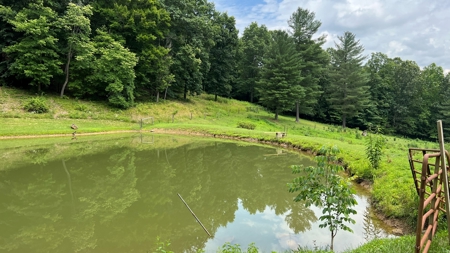 Vinton County Ohio Land for Sale - image 45