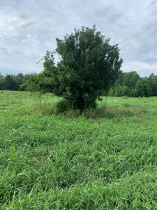 Averett Retreat In Southern VA - image 8