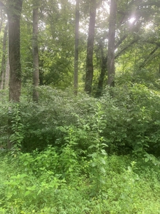 Averett Retreat In Southern VA - image 2