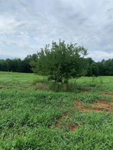 Averett Retreat In Southern VA - image 7