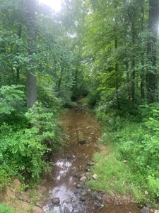 Averett Retreat In Southern VA - image 1