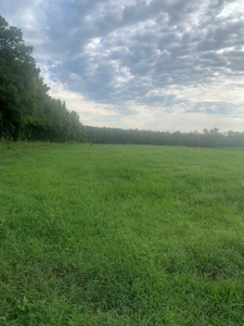 Averett Retreat In Southern VA - image 3
